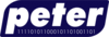 Logo Peter Internet & Software