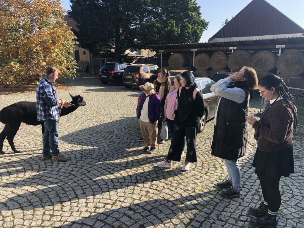 Studierende auf einer wiese mit alpakas