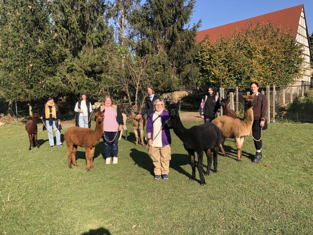 Studierende auf einer wiese mit alpakas